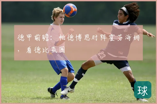德甲前瞻:帕德博恩对阵霍芬海姆,看德比氛围